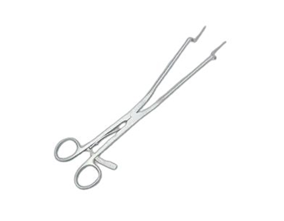 Steel Surgical Equipments Endocervical Speculum in Gujarat